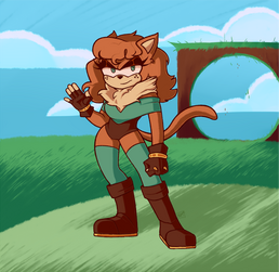 Study of the style of Sonic The Hedgehog using my own original character.